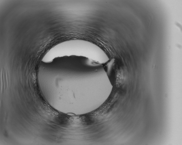 X0000096480613200802141723