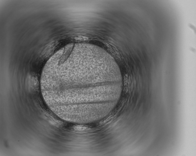 X0000096480614200802141723