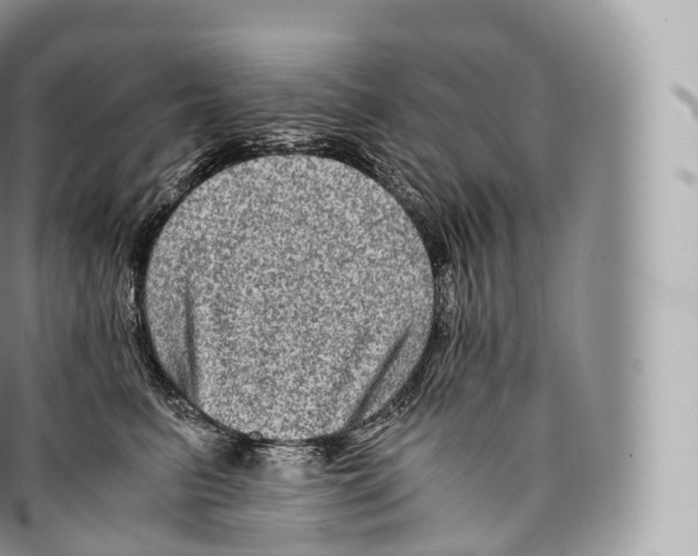 X0000096480615200802141723