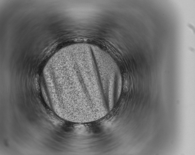 X0000096480616200802141723