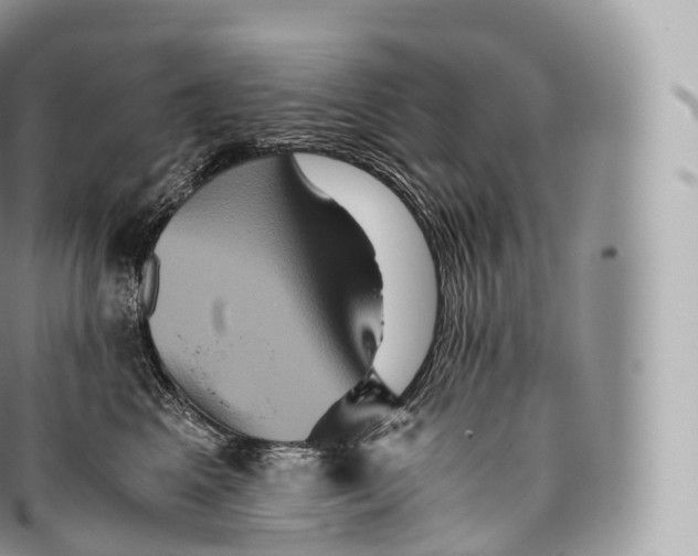 X0000096480617200802141723