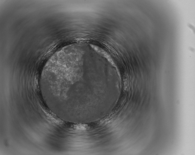 X0000096480618200802141723