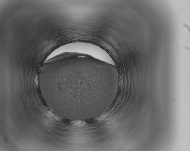 X0000096480621200802141723