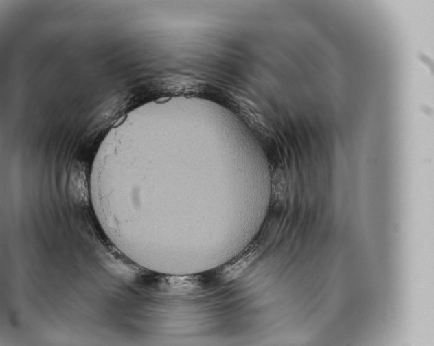 X0000096480622200802141723