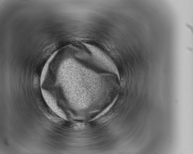 X0000096480623200802141723