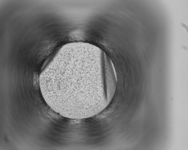 X0000096480624200802141723