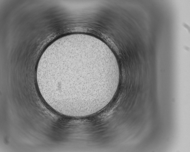 X0000096480625200802141722