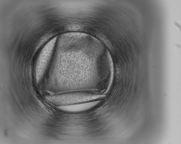 X0000096480626200802141722