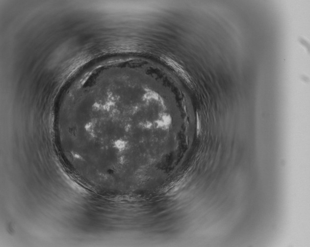 X0000096480627200802141722