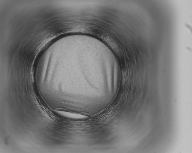 X0000096480628200802141722