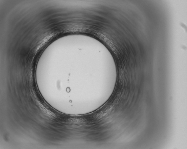 X0000096480629200802141722