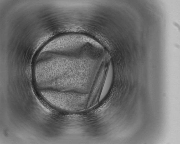 X0000096480630200802141722