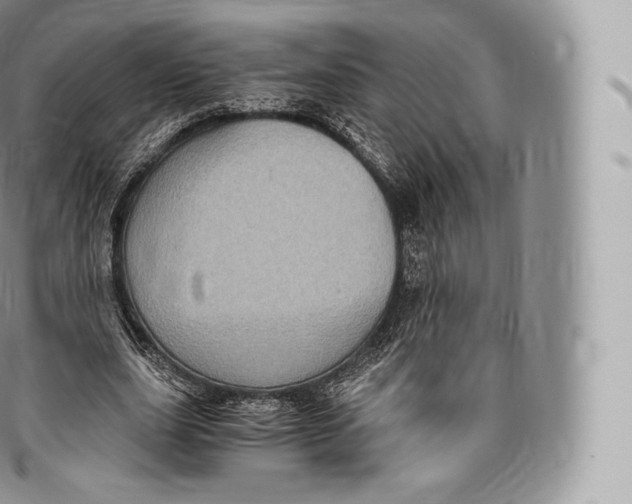 X0000096480631200802141722