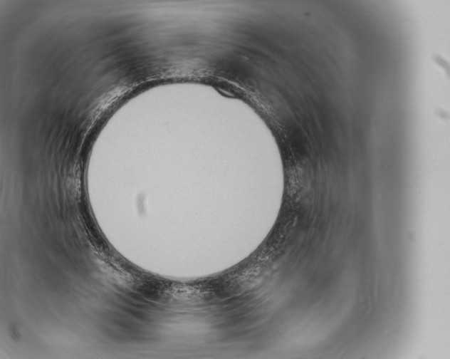 X0000096480632200802141722