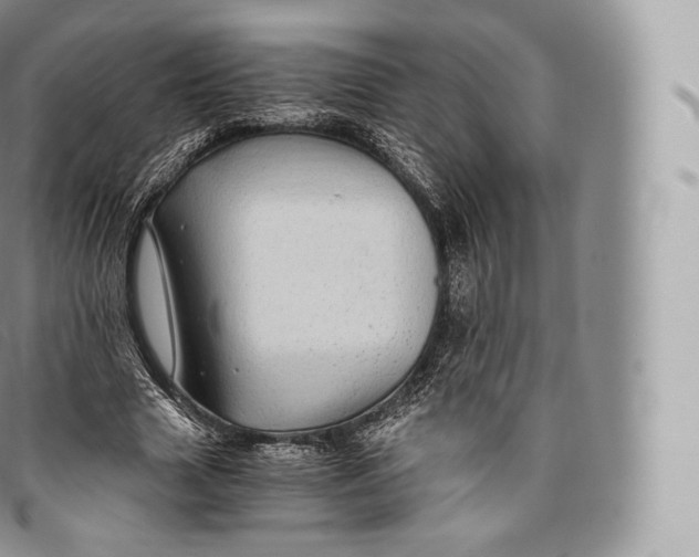 X0000096480633200802141722