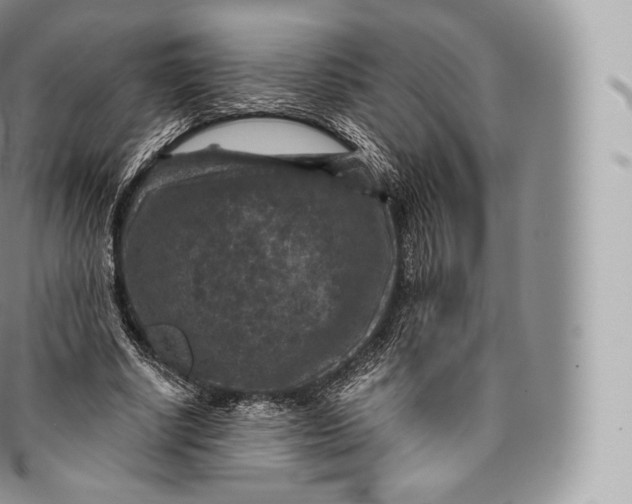 X0000096480634200802141722