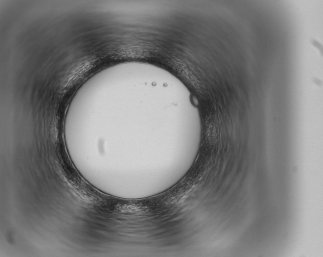 X0000096480635200802141722