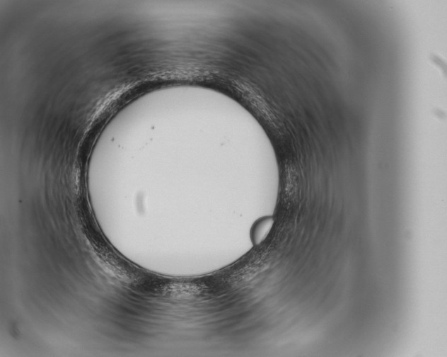 X0000096480636200802141723