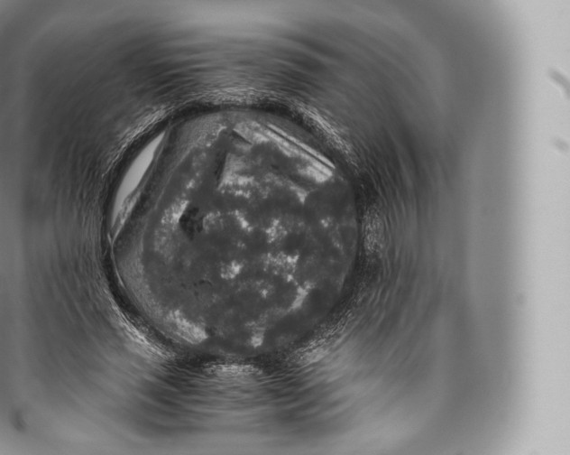 X0000096480637200802141723