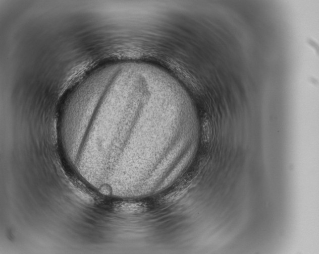 X0000096480638200802141723