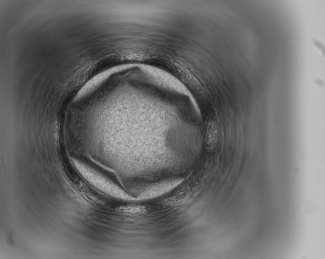 X0000096480639200802141723