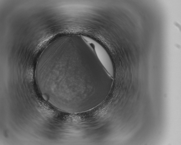 X0000096480640200802141723