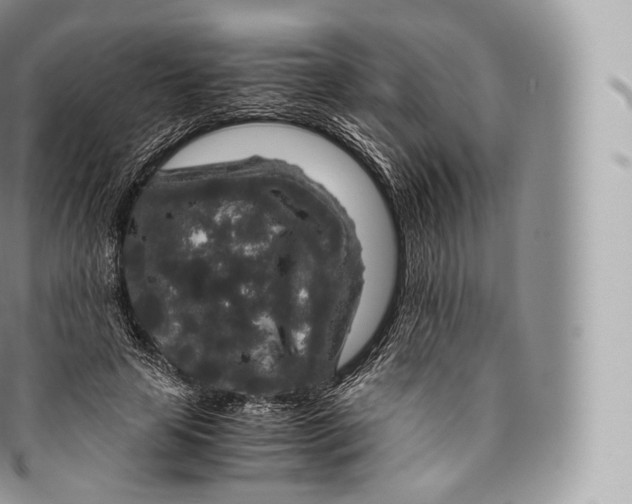 X0000096480641200802141723