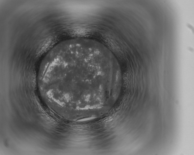 X0000096480642200802141723