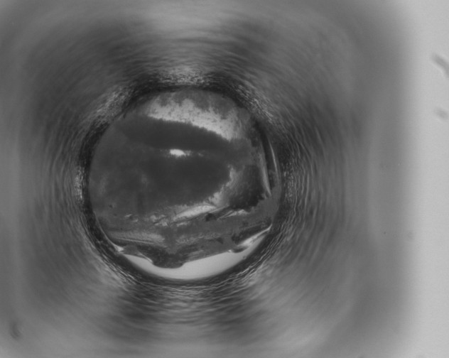 X0000096480643200802141723