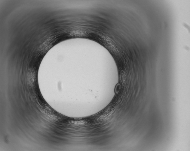 X0000096480645200802141723