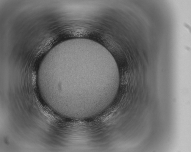 X0000096480646200802141723