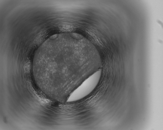 X0000096480647200802141723