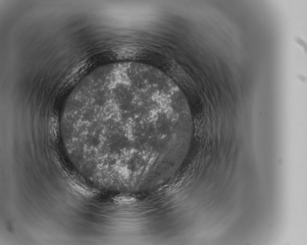 X0000096480648200802141723