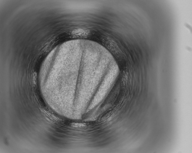 X0000096480649200802141723