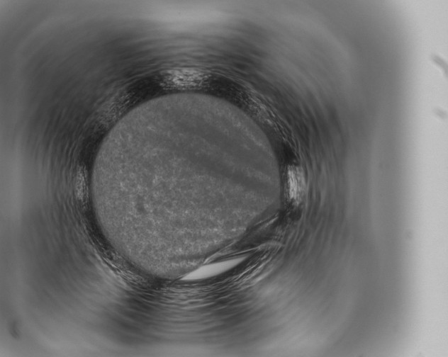 X0000096480651200802141723