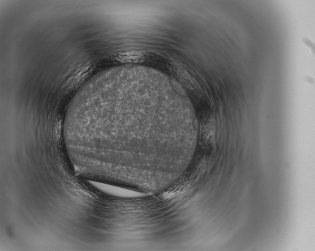 X0000096480652200802141723