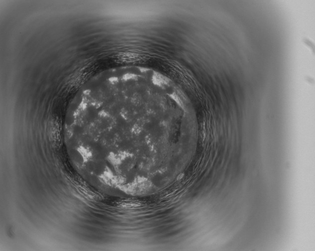 X0000096480653200802141723