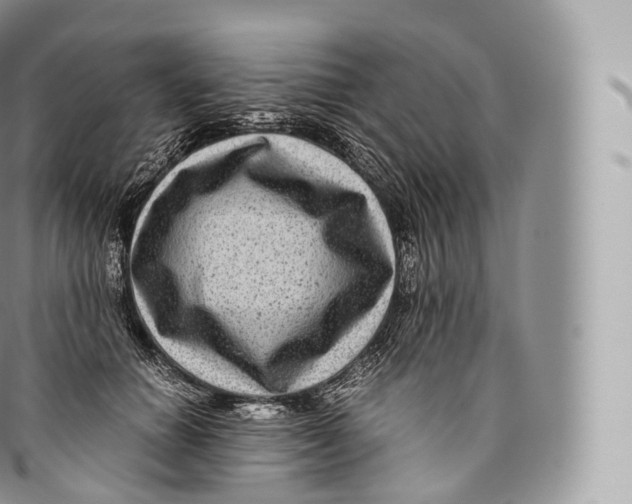 X0000096480654200802141723