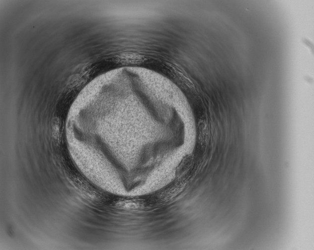 X0000096480655200802141723