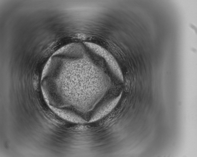 X0000096480656200802141723