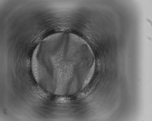 X0000096480657200802141723