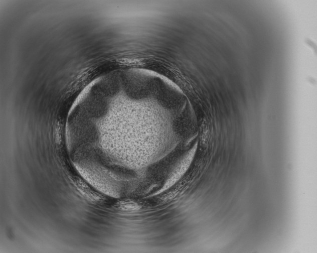 X0000096480658200802141723