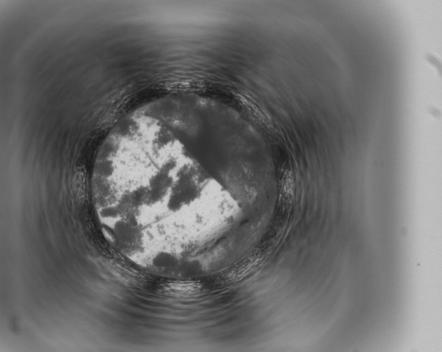 X0000096480659200802141723