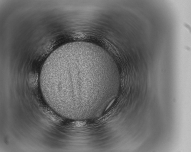 X0000096480660200802141723