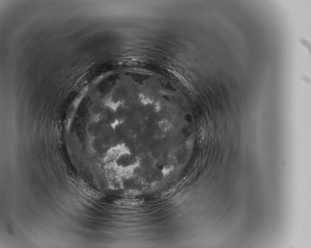 X0000096480661200802141723