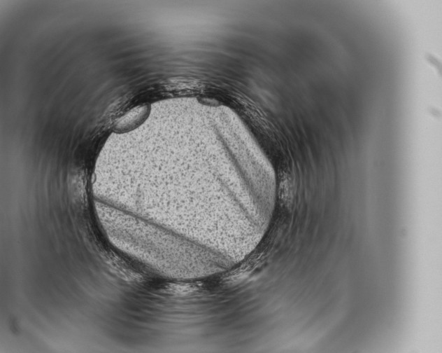 X0000096480662200802141723