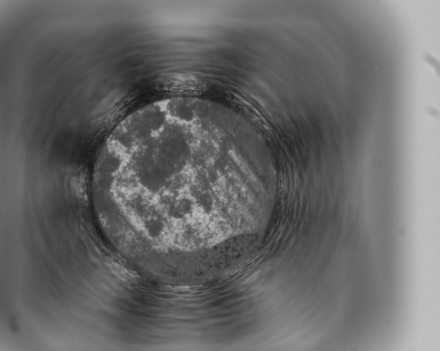 X0000096480663200802141723