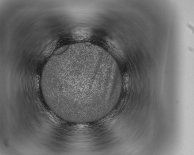 X0000096480664200802141723