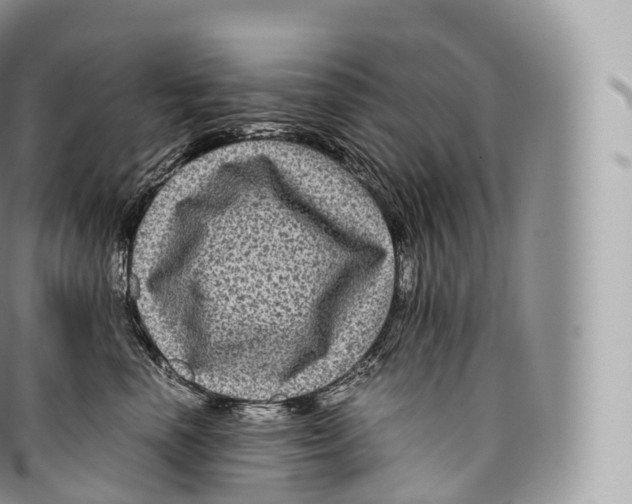 X0000096480666200802141723