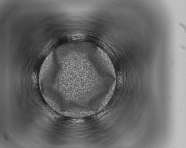 X0000096480667200802141723